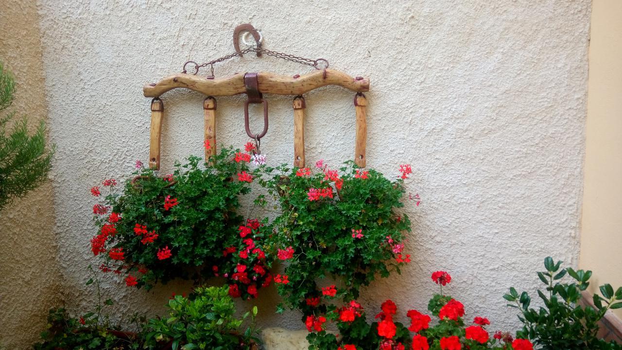 B&B A Casa Di Nonna Massa d'Albe Ngoại thất bức ảnh