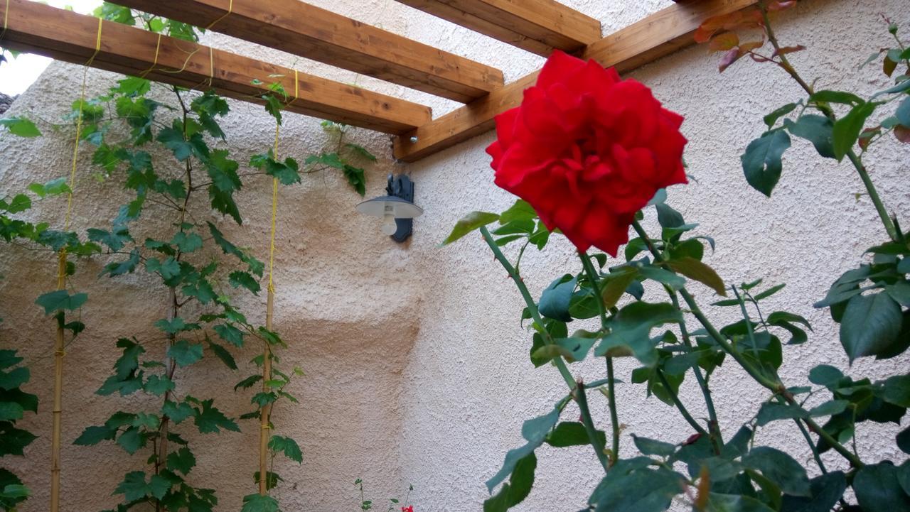 B&B A Casa Di Nonna Massa d'Albe Ngoại thất bức ảnh