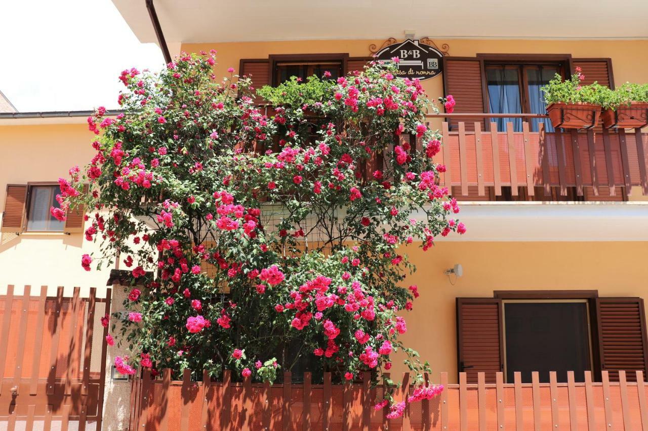 B&B A Casa Di Nonna Massa d'Albe Ngoại thất bức ảnh